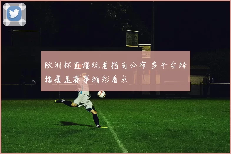 欧洲杯直播观看指南公布 多平台转播覆盖赛事精彩看点