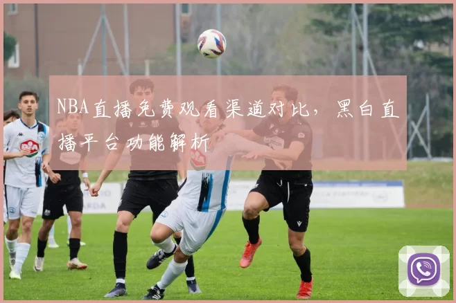 NBA直播免费观看渠道对比,黑白直播平台功能解析