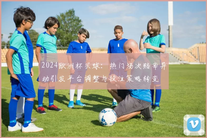 2024欧洲杯买球：热门场次赔率异动引发平台调整与投注策略转变