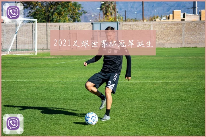 2021足球世界杯冠军诞生